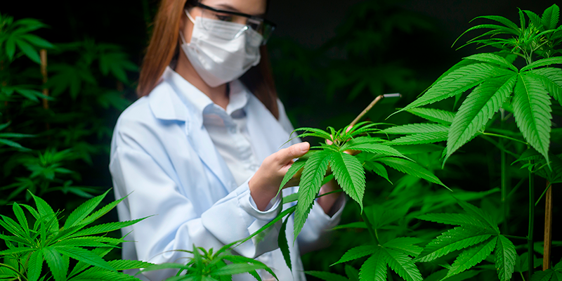 Existen diferentes modalidades de terapia como alternativas no hormonales